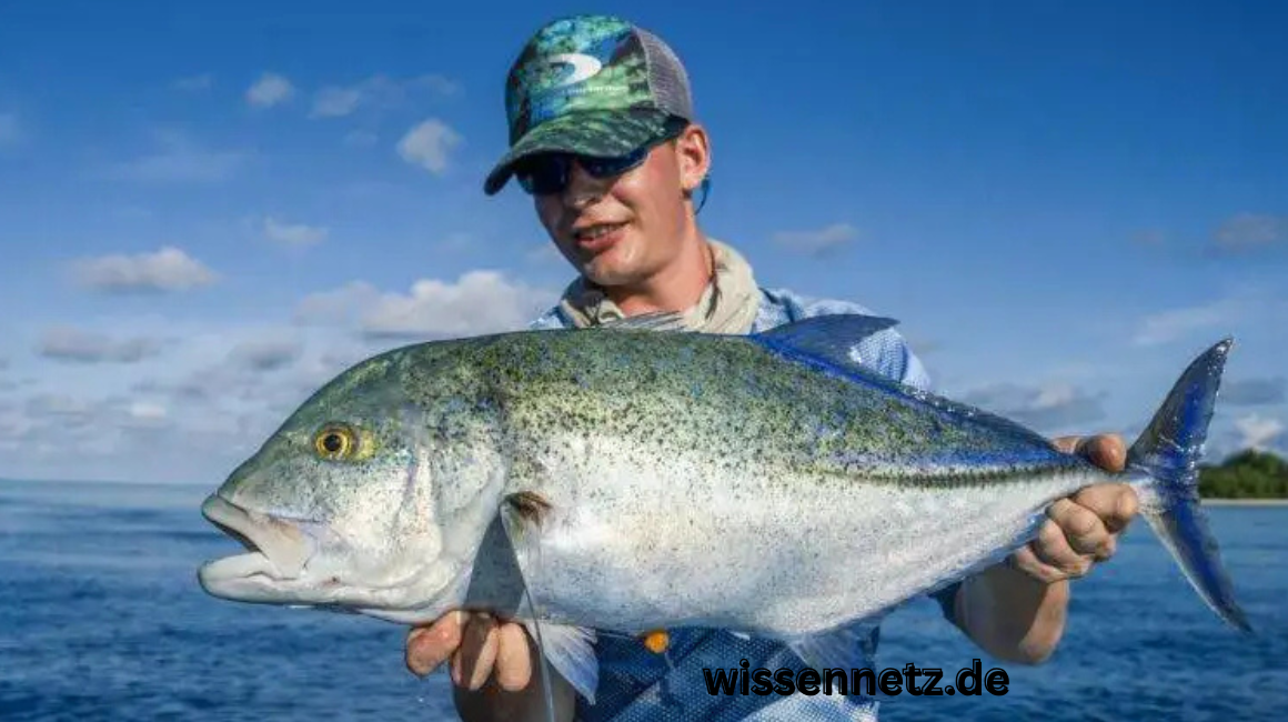 Lucipara Inseln Reiseguide: Entdecke Indonesiens verborgene Schönheit