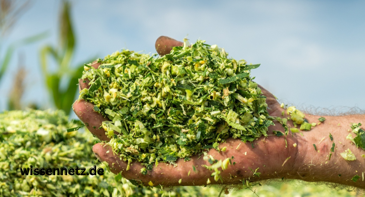 Silage Herstellen