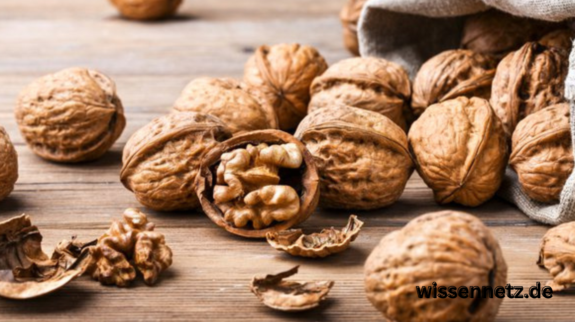 Walnüsse: Gesundheitliche Vorteile, Rezepte & Anwendungstipps